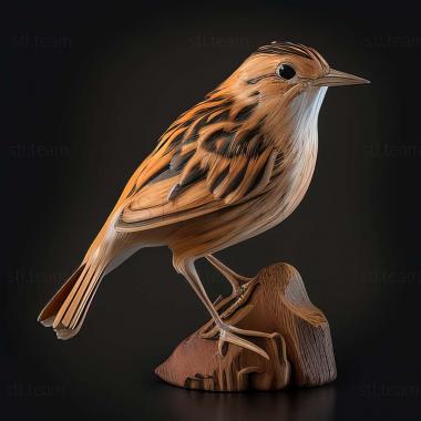 3D model Cisticola anderseni (STL)